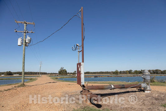 Photo- Part of a Large Complex of Commercial Catfish Ponds in Tate County, Mississippi 1 Fine Art Photo Reproduction