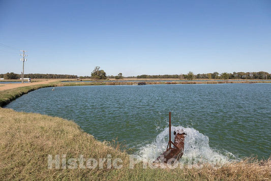 Photo- Part of a Large Complex of Commercial Catfish Ponds in Tate County, Mississippi 2 Fine Art Photo Reproduction