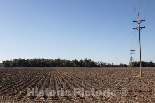Photo - Cotton-field furrows, ready for fall planting in Coahoma County, Mississippi- Fine Art Photo Reporduction