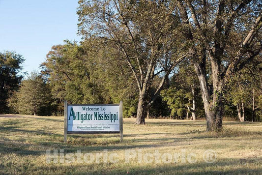 Photo - Sign Welcoming Visitors to Alligator, an impoverished Town of 200 or so People in Rural Bolivar County, Mississippi- Fine Art Photo Reporduction