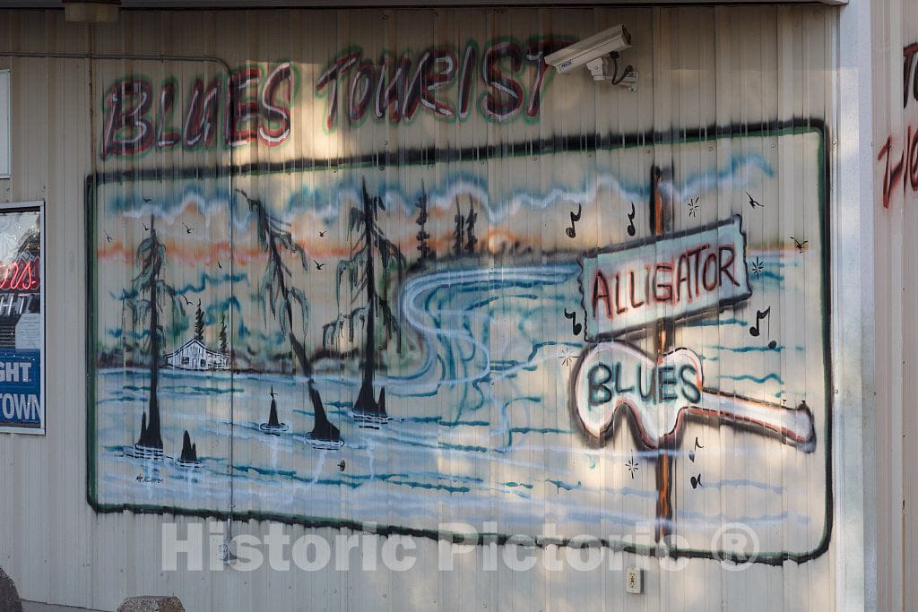 Photo- A Humble Blues Tourist Stop and Convenience Store in Alligator, an impoverished Mississippi Delta Town of 200 or so People in Rural Bolivar County 2 Fine Art Photo