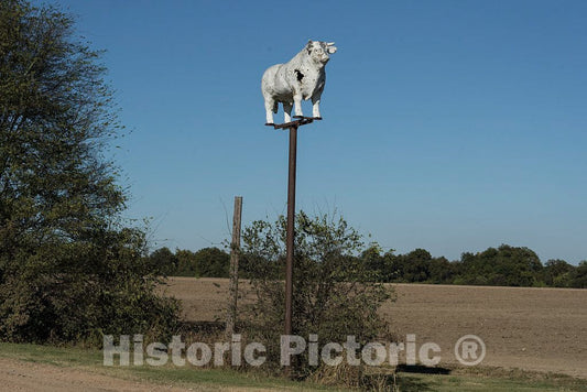 Photo- an Old Bull That Stands Proud but Damaged Above The farmland of Tunica County, Mississippi, recalls The Days When Cattle Raising was More Prominent in The Region 1
