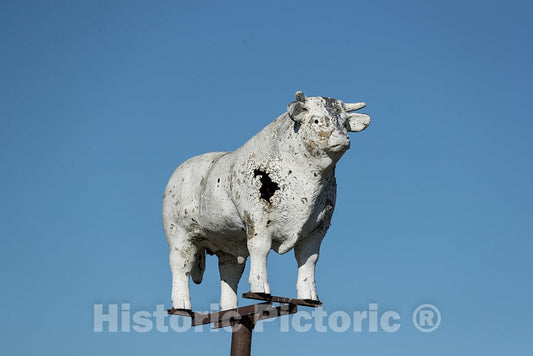 Photo- an Old Bull That Stands Proud but Damaged Above The farmland of Tunica County, Mississippi, recalls The Days When Cattle Raising was More Prominent in The Region 2