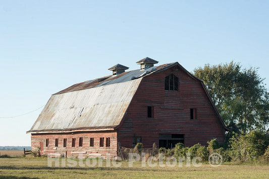 Photo - Once-Stately barn in Coahoma County, Mississippi- Fine Art Photo Reporduction