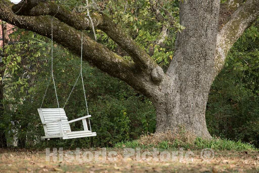 Photo - Backyard Swing in Senatobia, Mississippi- Fine Art Photo Reporduction