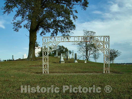 Photo - The Barbee Cemetery, near the settlement of Moon Lake in Coahoma County, Mississippi- Fine Art Photo Reporduction