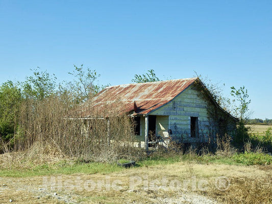 Photo - Long-Abandoned Cabin in Dundee, Mississippi- Fine Art Photo Reporduction