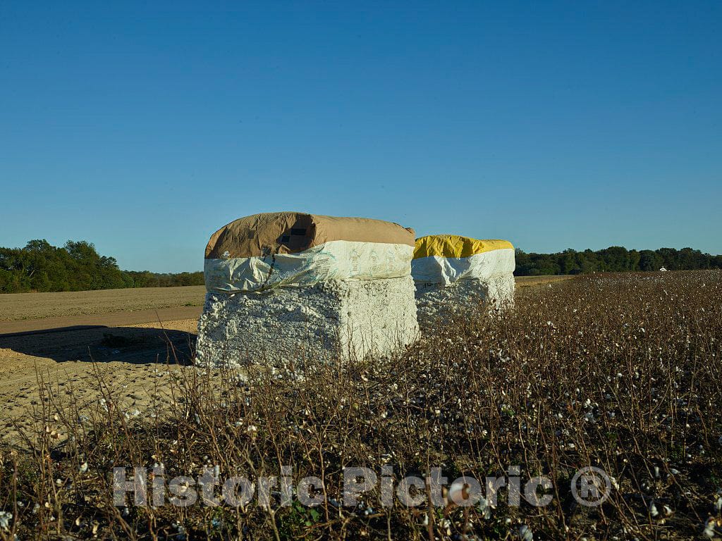 Photo - Squared cotton bales awaiting pickup next to a road in rural Coahoma County, Mississippi- Fine Art Photo Reporduction