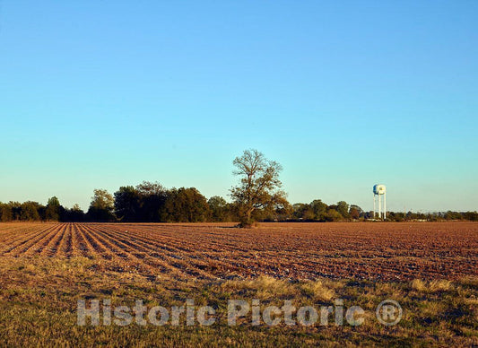 Photo - Crop furrows Near Clarksdale in Coahoma County, Mississippi- Fine Art Photo Reporduction