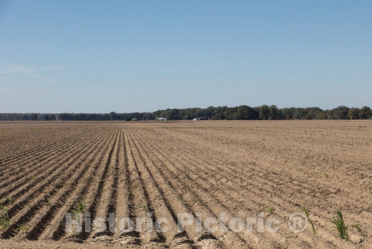 Photo - Plowed Field, Ready for Planting in Yazoo County, Mississippi, Near Tinsley- Fine Art Photo Reporduction