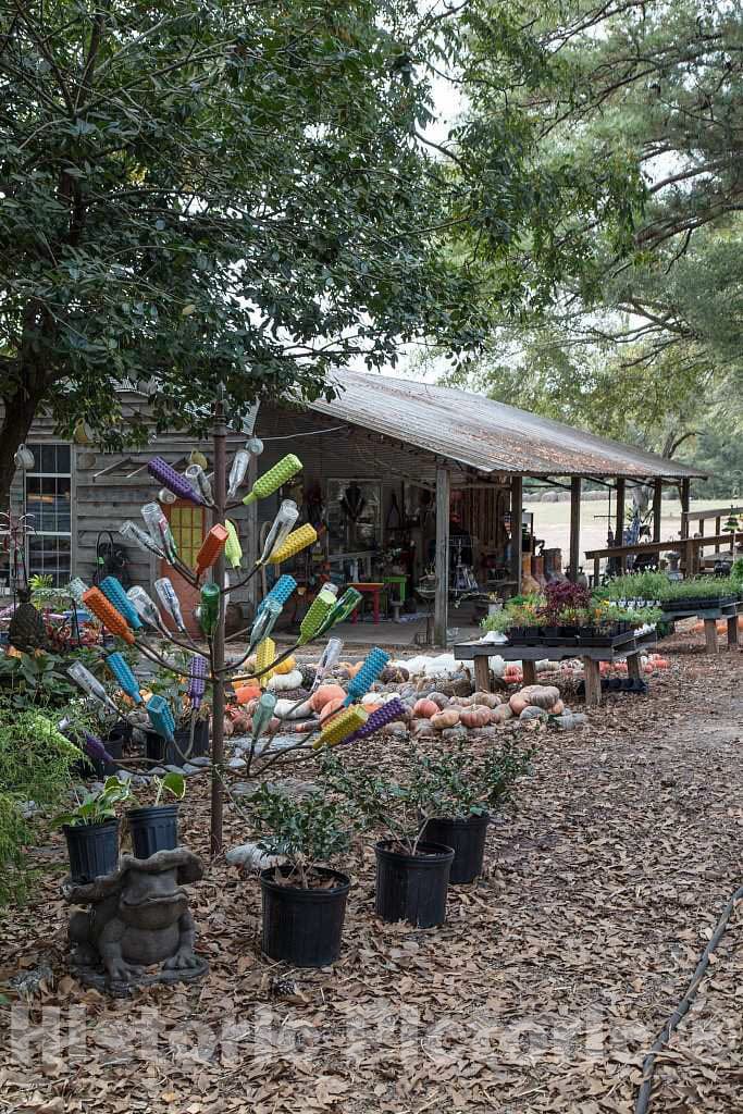 Photo - Bottle Display Outside Angela's House and Garden Shop in Magee, Mississippi- Fine Art Photo Reporduction