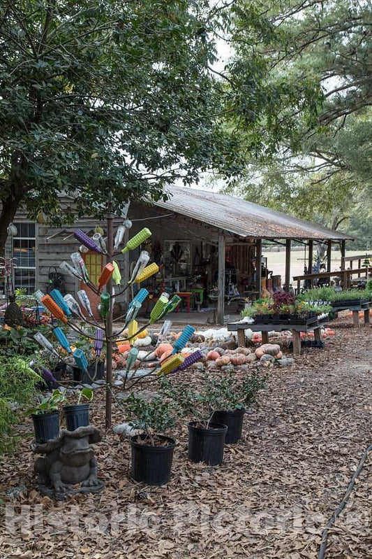 Photo - Bottle Display Outside Angela's House and Garden Shop in Magee, Mississippi- Fine Art Photo Reporduction