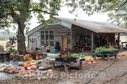 Photo - Angela's House and Garden Shop in Magee, Mississippi- Fine Art Photo Reporduction