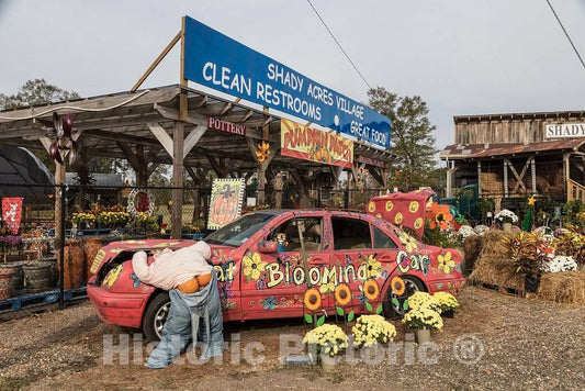 Photo- Scene at Shady Acres Village, a cluster of gift shops and other stores near Sanford, Mississippi 2 Fine Art Photo Reproduction