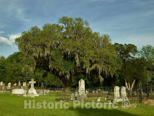 Photo- Part of The Natchez City Cemetery in Natchez, Mississippi 5 Fine Art Photo Reproduction