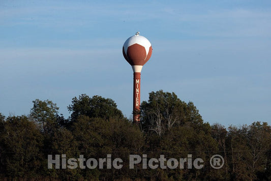 Photo - The Town of Minter City, Mississippi, Painted its Water Tower to resemble a Cotton boll (The plant's Rounded Seed Capsule)- Fine Art Photo Reporduction