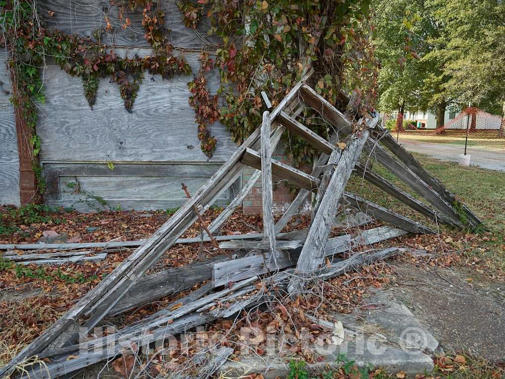 Photo- Long-closed and now vine-covered site of Bryant's Grocery in the crossroads community of Money, Mississippi 1 Fine Art Photo Reproduction