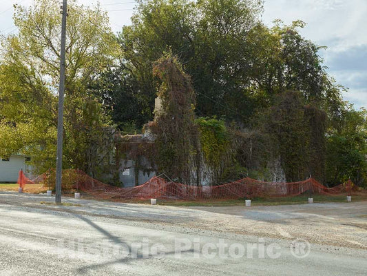Photo- Long-Closed and Now Vine-Covered site of Bryant's Grocery in The Crossroads Community of Money, Mississippi 3 Fine Art Photo Reproduction