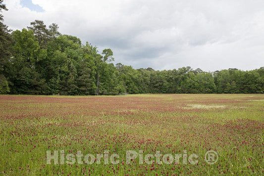 Photo- The Mount Locust Inn and Plantation grounds, located on the Natchez Trace Parkway in Natchez, Mississippi 2 Fine Art Photo Reproduction