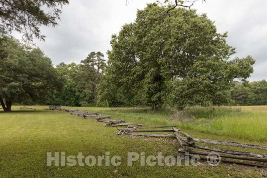 Photo- The Mount Locust Inn and Plantation Grounds, Located on The Natchez Trace Parkway in Natchez, Mississippi 1 Fine Art Photo Reproduction