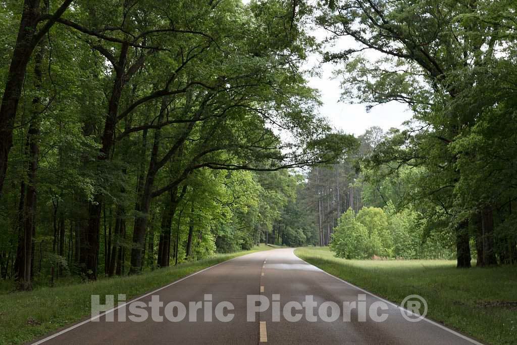 Photo- The Natchez Trace Parkway in Natchez, Mississippi 2 Fine Art Photo Reproduction