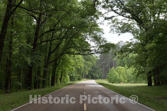 Photo- The Natchez Trace Parkway in Natchez, Mississippi 2 Fine Art Photo Reproduction