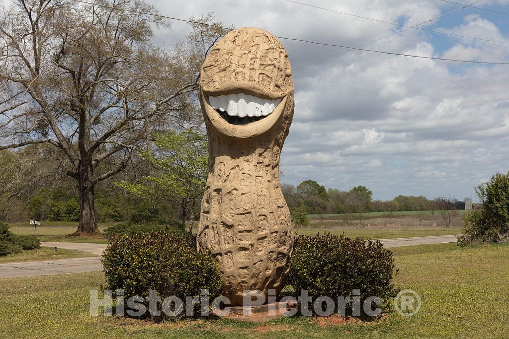 Photo - A Grinning Peanut is one of Many Symbols of The Legume to be Found in Former U.S. President Jimmy Carter's Hometown of Plains, Georgia- Fine Art Photo Reporduction