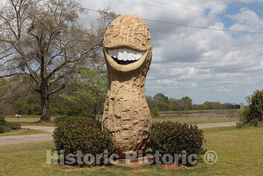 Photo - A Grinning Peanut is one of Many Symbols of The Legume to be Found in Former U.S. President Jimmy Carter's Hometown of Plains, Georgia- Fine Art Photo Reporduction