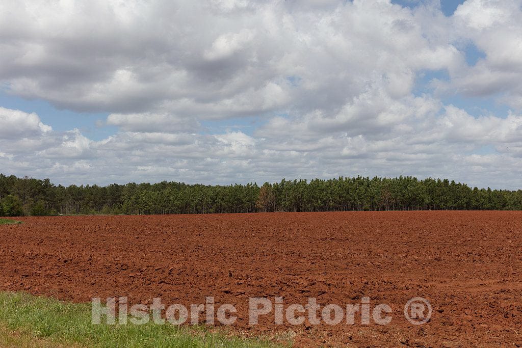 Photo - Field Near The Maranantha Baptist Church in Carter's Hometown of Plains, Georgia- Fine Art Photo Reporduction