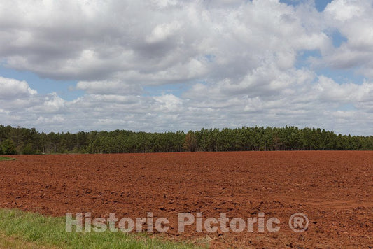 Photo - Field Near The Maranantha Baptist Church in Carter's Hometown of Plains, Georgia- Fine Art Photo Reporduction