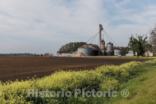 Photo - Farm Scene in Seminole County, Georgia- Fine Art Photo Reporduction