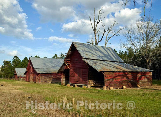 Photo - Three red barns in Bartow, an Old Cotton-Mill Town in The U.S. State of Georgia- Fine Art Photo Reporduction