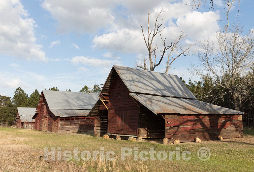 Photo - Vintage barns near Cary, Georgia- Fine Art Photo Reporduction