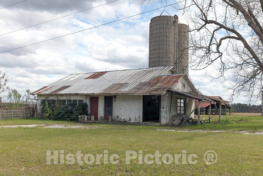 Photo - Farm Scene in Eastern Georgia's Jefferson County, Near Louisville- Fine Art Photo Reporduction