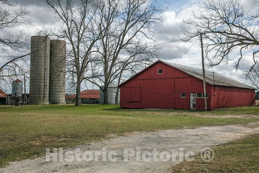Photo - Farm Scene Near Louisville in Eastern Georgia's Jefferson County, Near Louisville- Fine Art Photo Reporduction