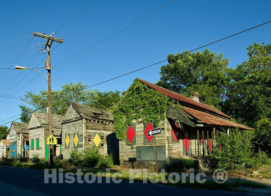 Photo- Charleston, South Carolina's, public-housing authority owns these old, abandoned cabins, and it, or somebody, gave them a touch of art and color 3 Fine Art Photo Reproduction