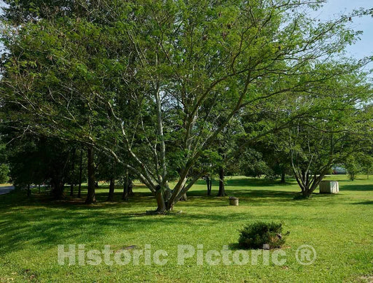 Photo - Scene outside Traveler's Rest, a historic inn in Toccoa, a city in northeast Georgia near the South Carolina line- Fine Art Photo Reporduction