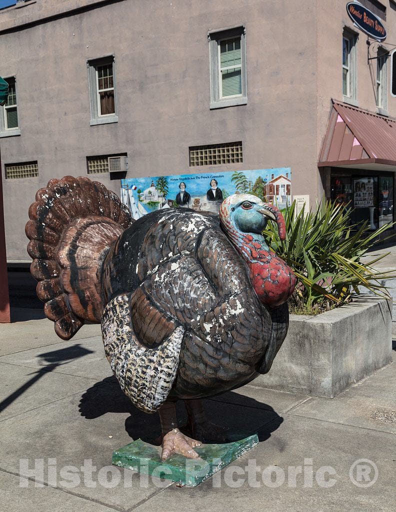 Photo - A Fat, Though Faux, Turkey in Edgefield, South Carolina- Fine Art Photo Reporduction