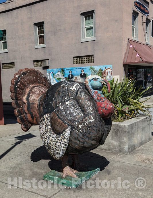 Photo - A Fat, Though Faux, Turkey in Edgefield, South Carolina- Fine Art Photo Reporduction