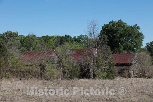 Photo - Abandoned Cabins in Greenwood County, South Carolina, Near The Small Settlement of Kirksey- Fine Art Photo Reporduction