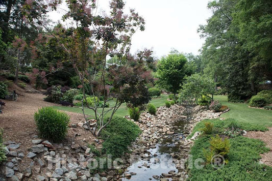 Photo- Scene at The Rock Quarry Garden in Greenville, South Carolina on The The site of a pre-Civil War Granite Quarry 1 Fine Art Photo Reproduction