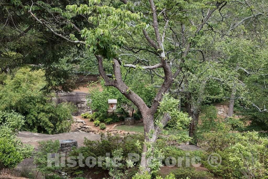 Photo- Scene at The Rock Quarry Garden in Greenville, South Carolina on The The site of a pre-Civil War Granite Quarry 2 Fine Art Photo Reproduction