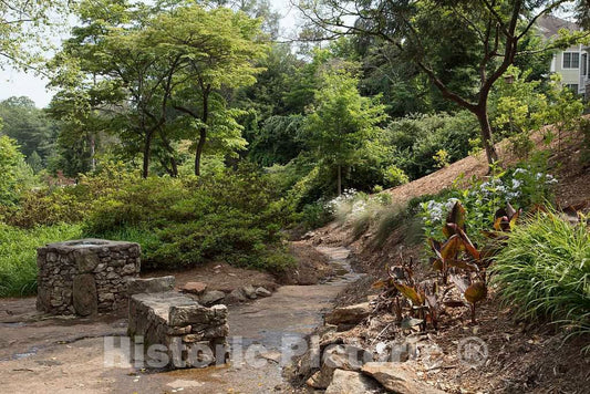 Photo - Pathway in The Rock Quarry Garden in Greenville, South Carolina on The The site of a pre-Civil War Granite Quarry- Fine Art Photo Reporduction