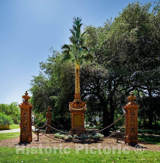 Photograph- Gravesite of memebers of South Carolina's Palmetto Regiment who died in a war with Mexico in 1847 at Trinity Episcopal Cathedral's graveyard in Columbia, the capital city of South