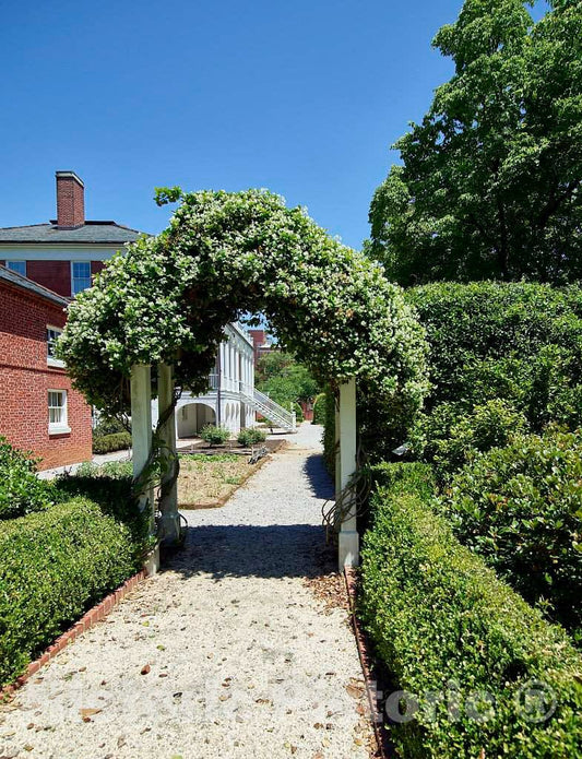Photo - Garden Archway at The Mansion Known as The Robert Mills House in Columbia, The Capital City of South Carolina- Fine Art Photo Reporduction