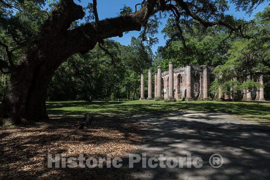 Photo- The Old Sheldon Church Ruins, a Historic site in Beaufort County, South Carolina 2 Fine Art Photo Reproduction
