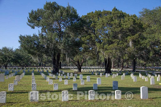 Photo - The Beaufort National Cemetery in Beaufort, South Carolina- Fine Art Photo Reporduction