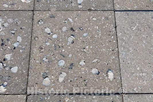 Photo - Part of a Sidewalk Made, in Part, from Seashells in Beaufort, South Carolina- Fine Art Photo Reporduction