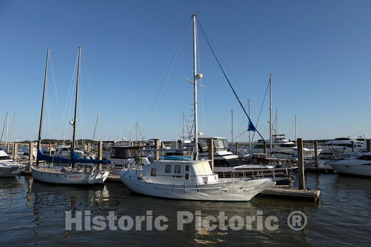 Photo- Marina in Beaufort, South Carolina 3 Fine Art Photo Reproduction