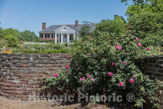 Photo- Boone Hall Plantation and Gardens in Mount Pleasant, South Carolina 1 Fine Art Photo Reproduction